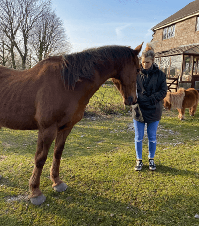 Equine assisted counselling in Staffordshire